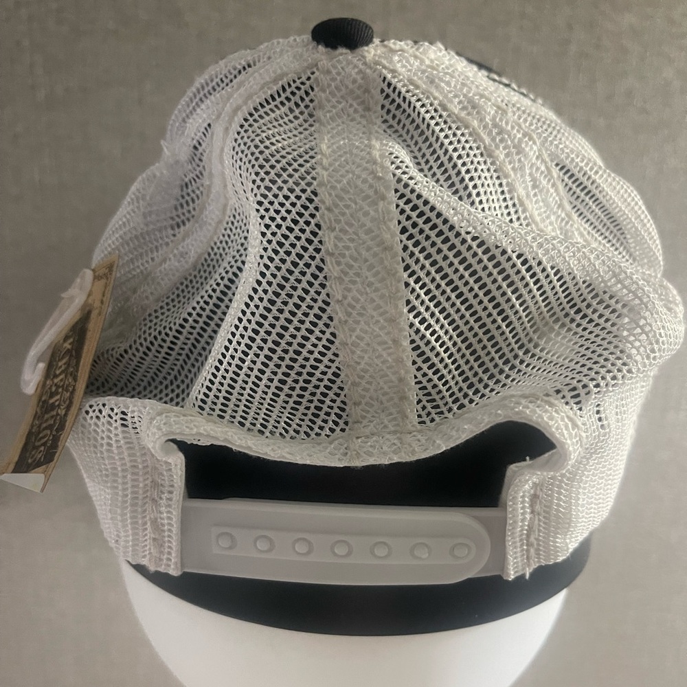 NWT Men’s NASA Distressed Dad Hat - Picture 4 of 5